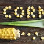 Health Benefits of Sweet Corn